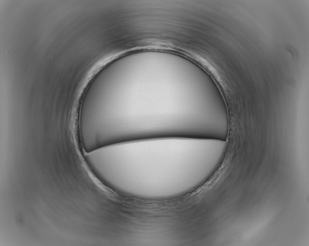 X0000113161379200909040944