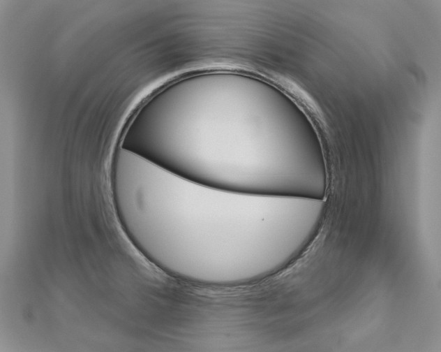 X0000113161380200909040944