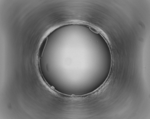 X0000113161381200909040944