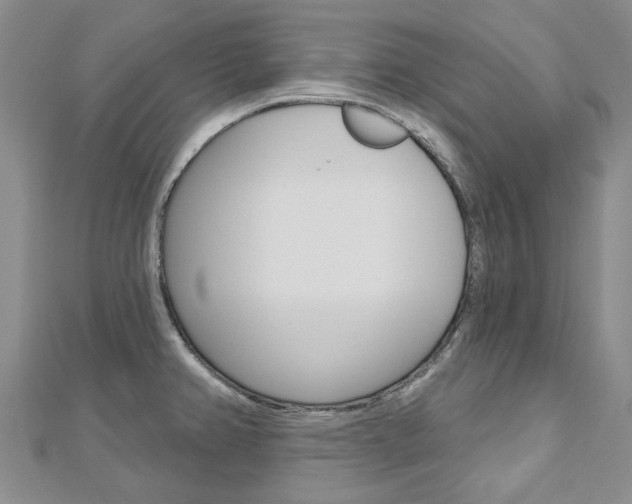 X0000113161382200909040944