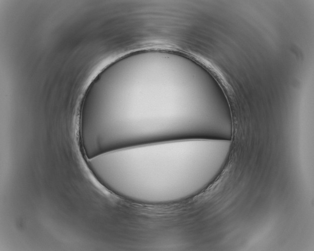 X0000113161383200909040944