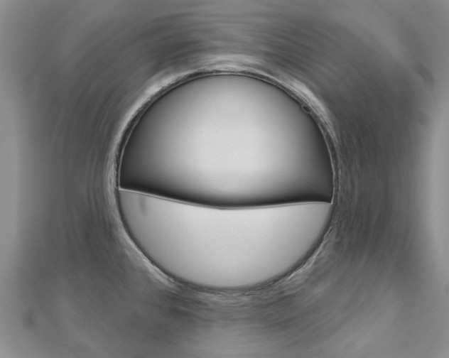 X0000113161384200909040944