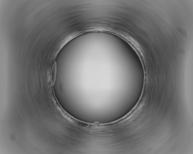 X0000113161385200909040944