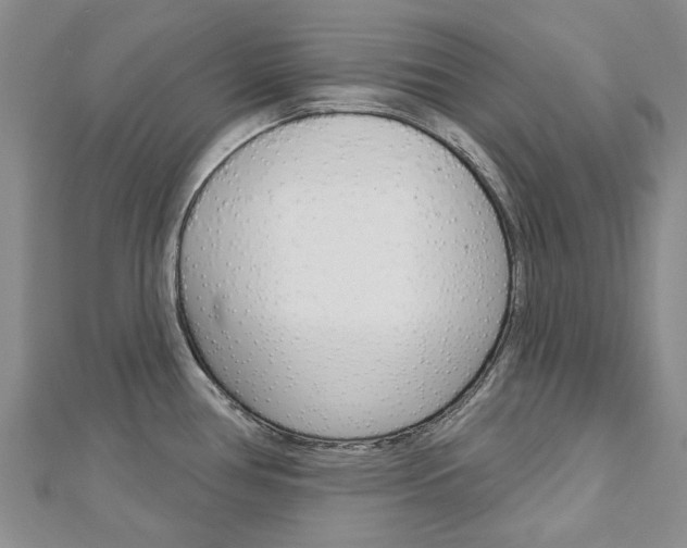 X0000113161386200909040944