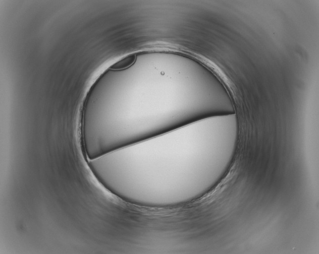 X0000113161387200909040944