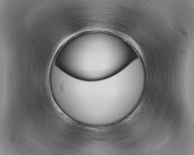 X0000113161388200909040944