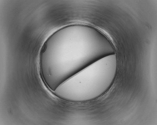 X0000113161391200909040944