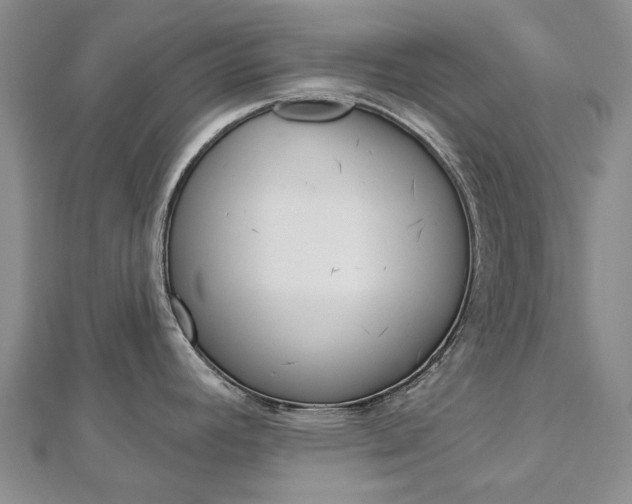 X0000113161392200909040944