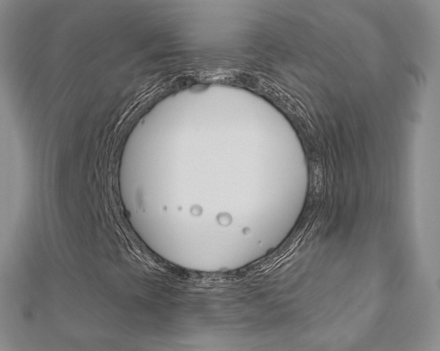 X0000113161393200909040943