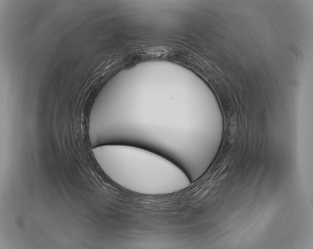 X0000113161394200909040943