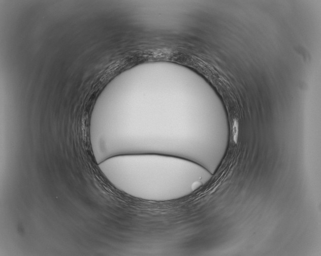 X0000113161395200909040943