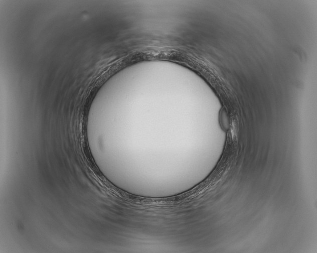 X0000113161396200909040943