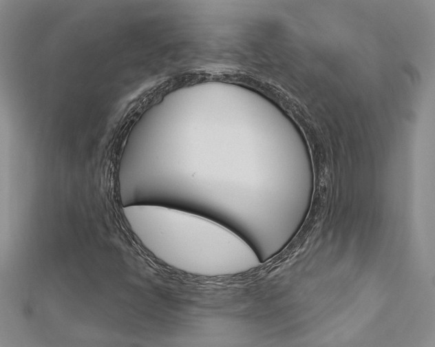 X0000113161398200909040943