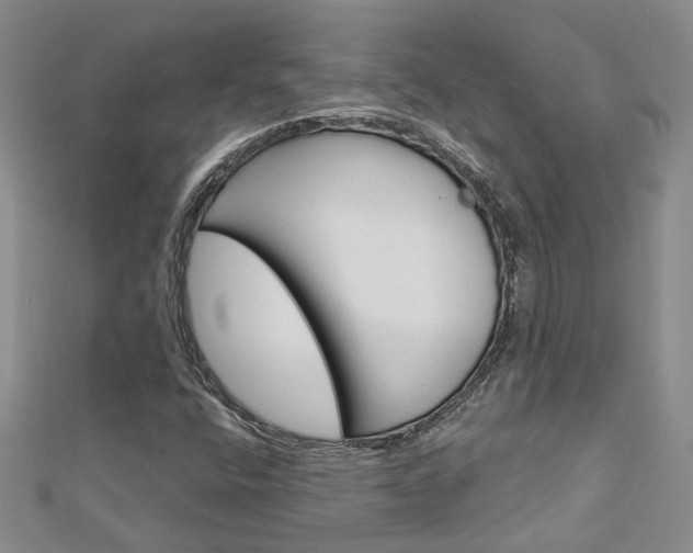X0000113161400200909040943