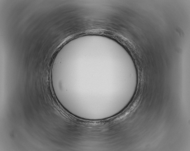X0000113161401200909040943