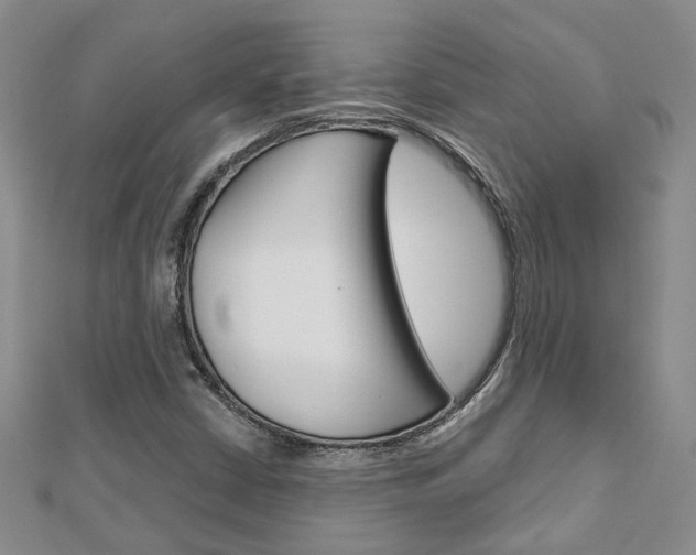 X0000113161402200909040943