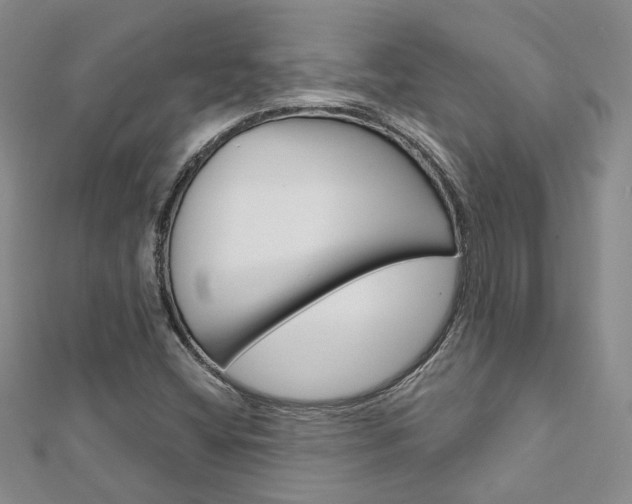 X0000113161404200909040943