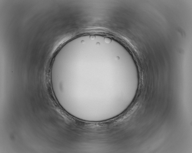 X0000113161405200909040943