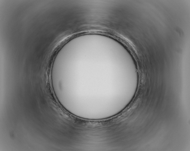 X0000113161407200909040943