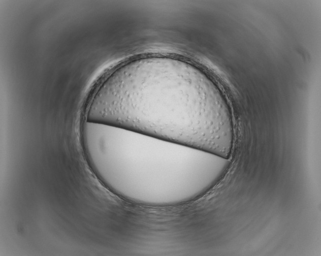 X0000113161408200909040943