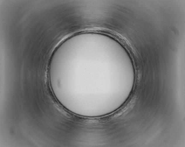 X0000113161409200909040943