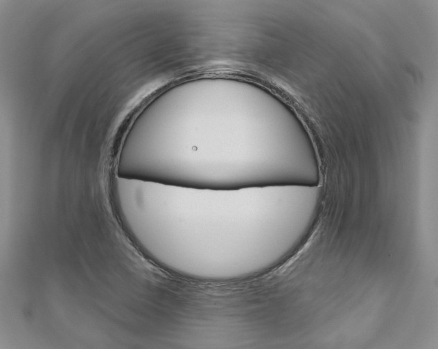 X0000113161410200909040943