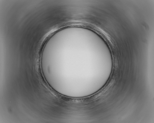 X0000113161411200909040943