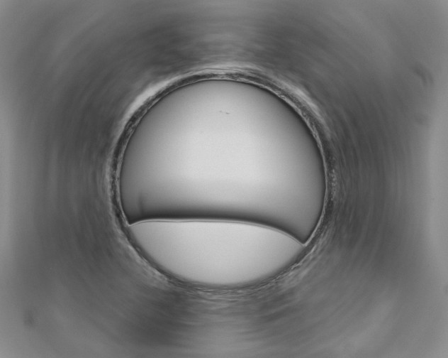 X0000113161412200909040943