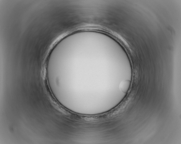 X0000113161413200909040943