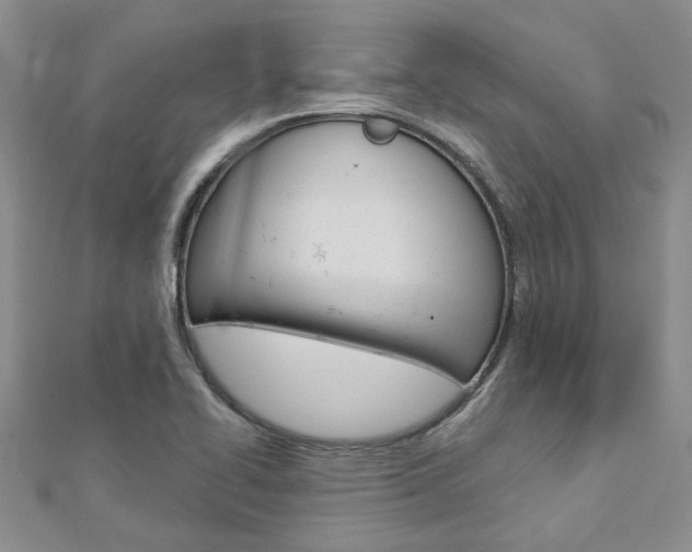 X0000113161414200909040943