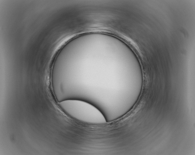 X0000113161415200909040943