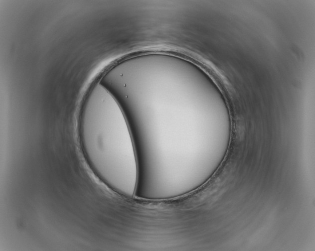 X0000113161416200909040943