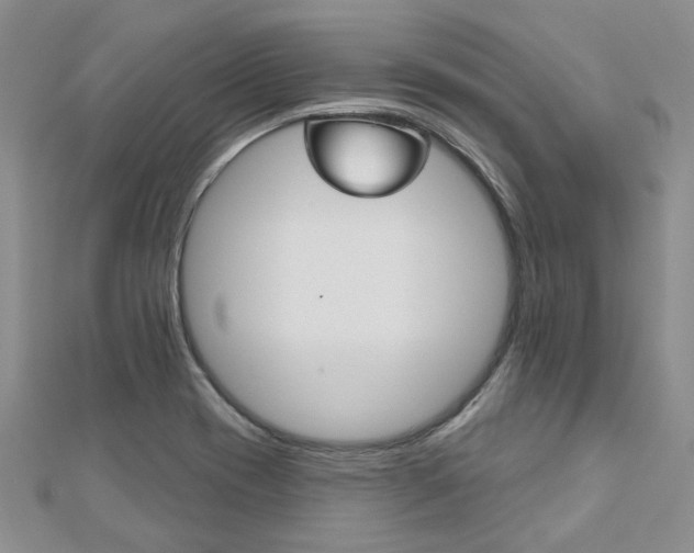 X0000113161417200909040943