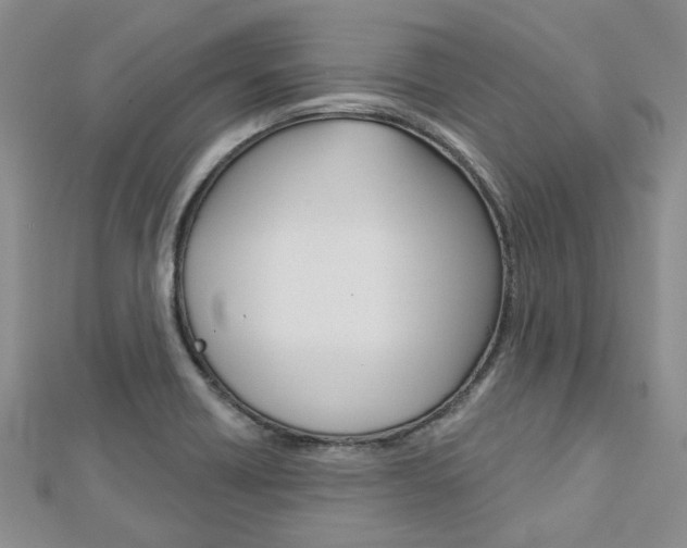 X0000113161418200909040943