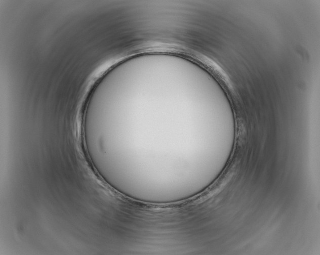 X0000113161419200909040943