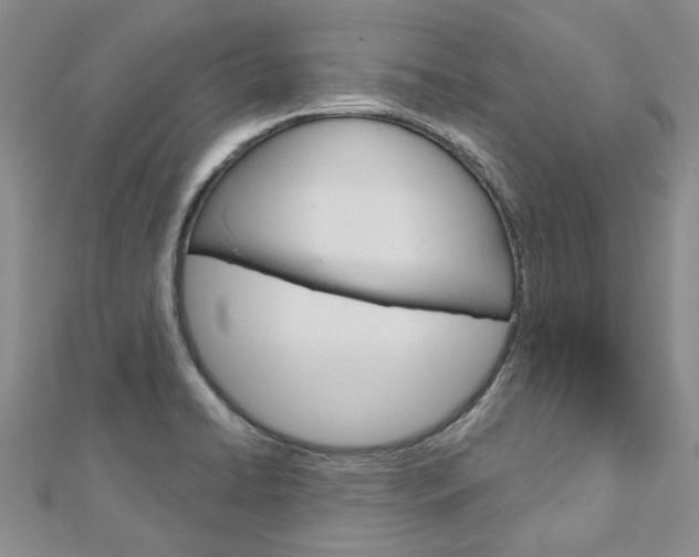 X0000113161422200909040943
