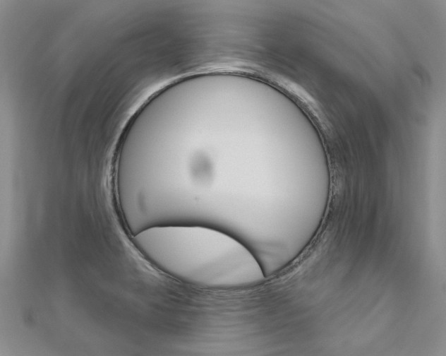 X0000113161423200909040943