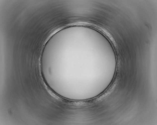 X0000113161425200909040943