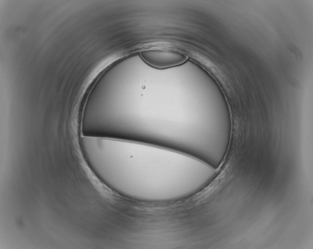 X0000113161426200909040943