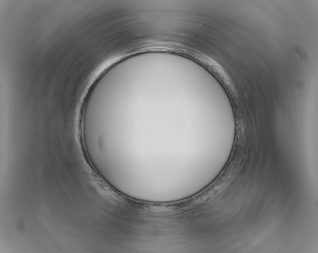 X0000113161427200909040943