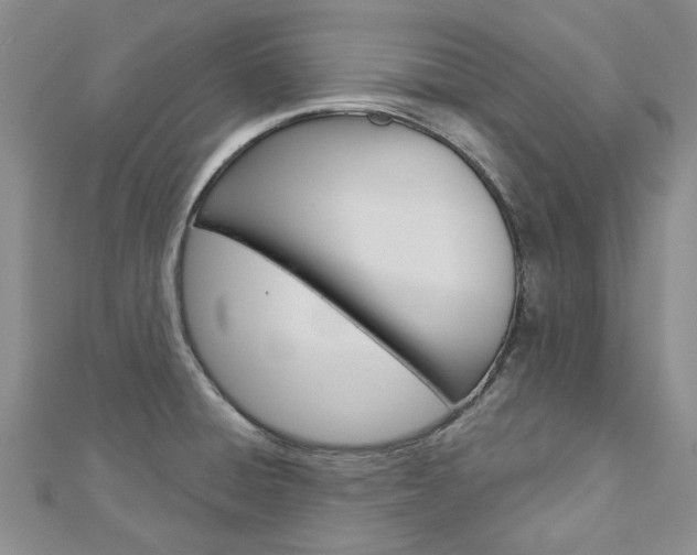 X0000113161428200909040943