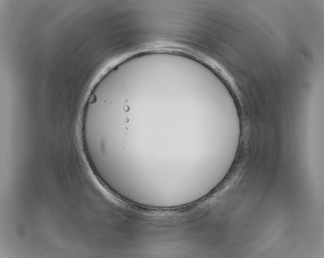 X0000113161429200909040943
