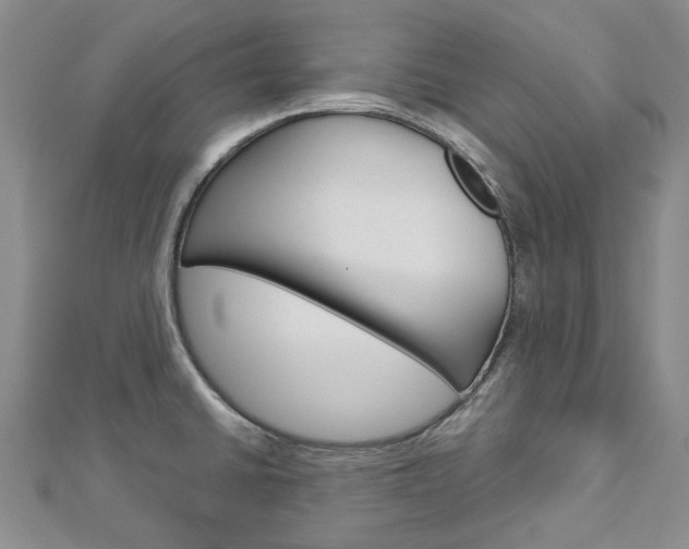 X0000113161430200909040943