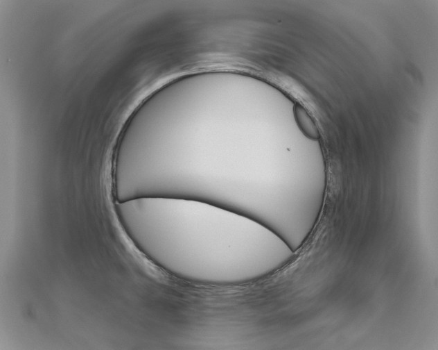 X0000113161431200909040943