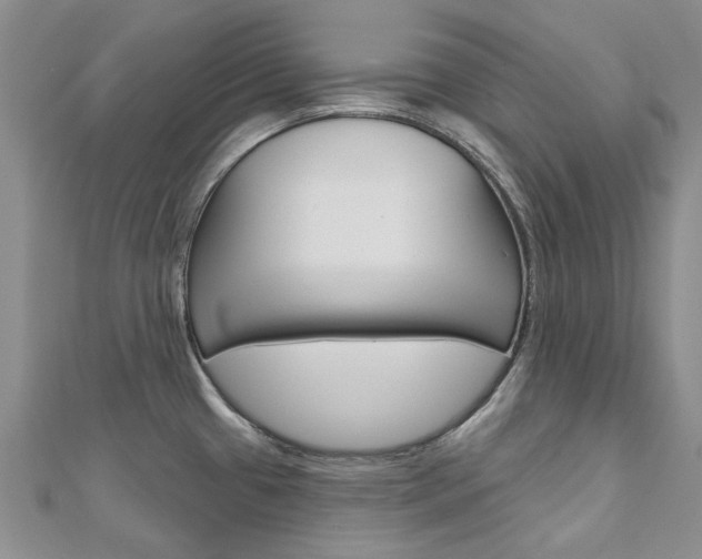 X0000113161433200909040943