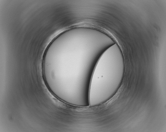 X0000113161434200909040943