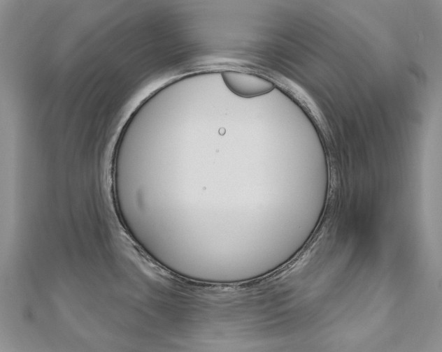 X0000113161435200909040943