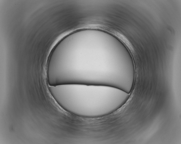 X0000113161436200909040943