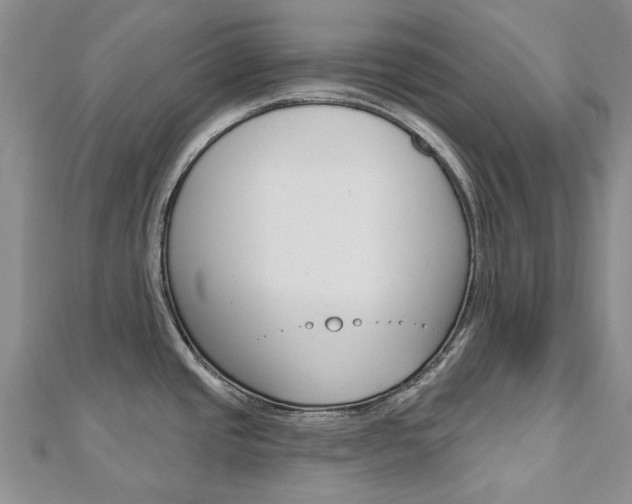 X0000113161437200909040943