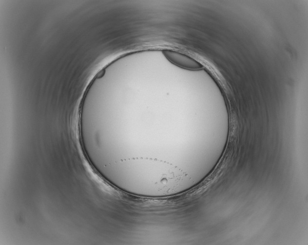 X0000113161439200909040943